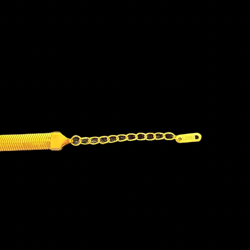 🐈⬛NWOT Rounded Snake Bone Chain - Picture 2 of 2